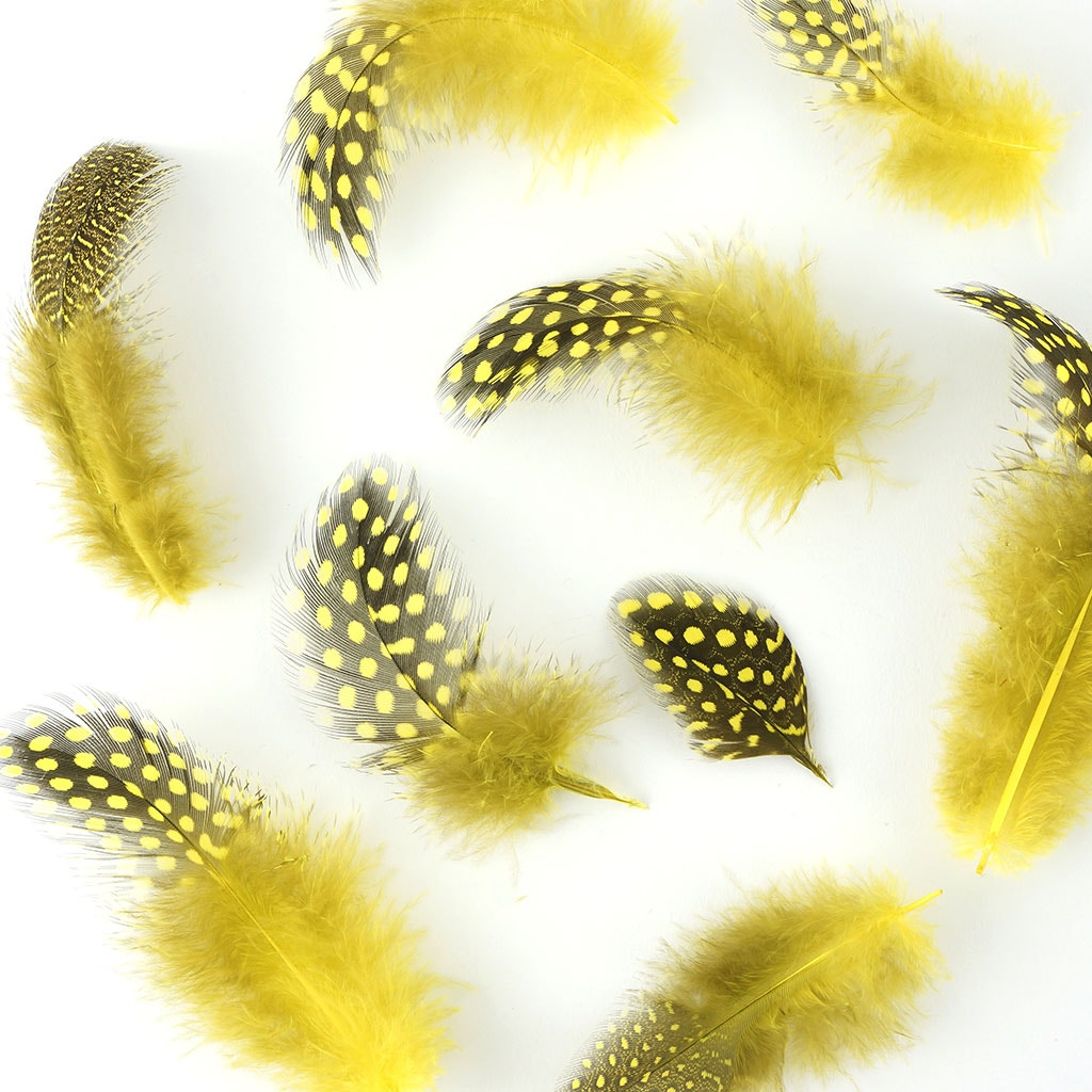 Bulk Guinea Hen Plumage 1/4 lb - Fluorescent Yellow