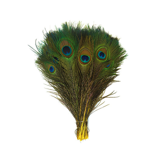 Bulk Peacock Eye Feathers (Full Eye) Stem Dyed 100 PC 8-15" - Yellow