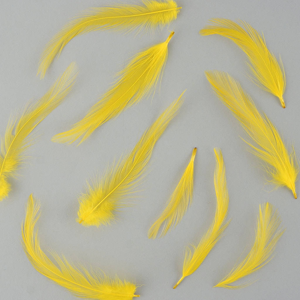 Rooster Hackle-Dyed - Yellow