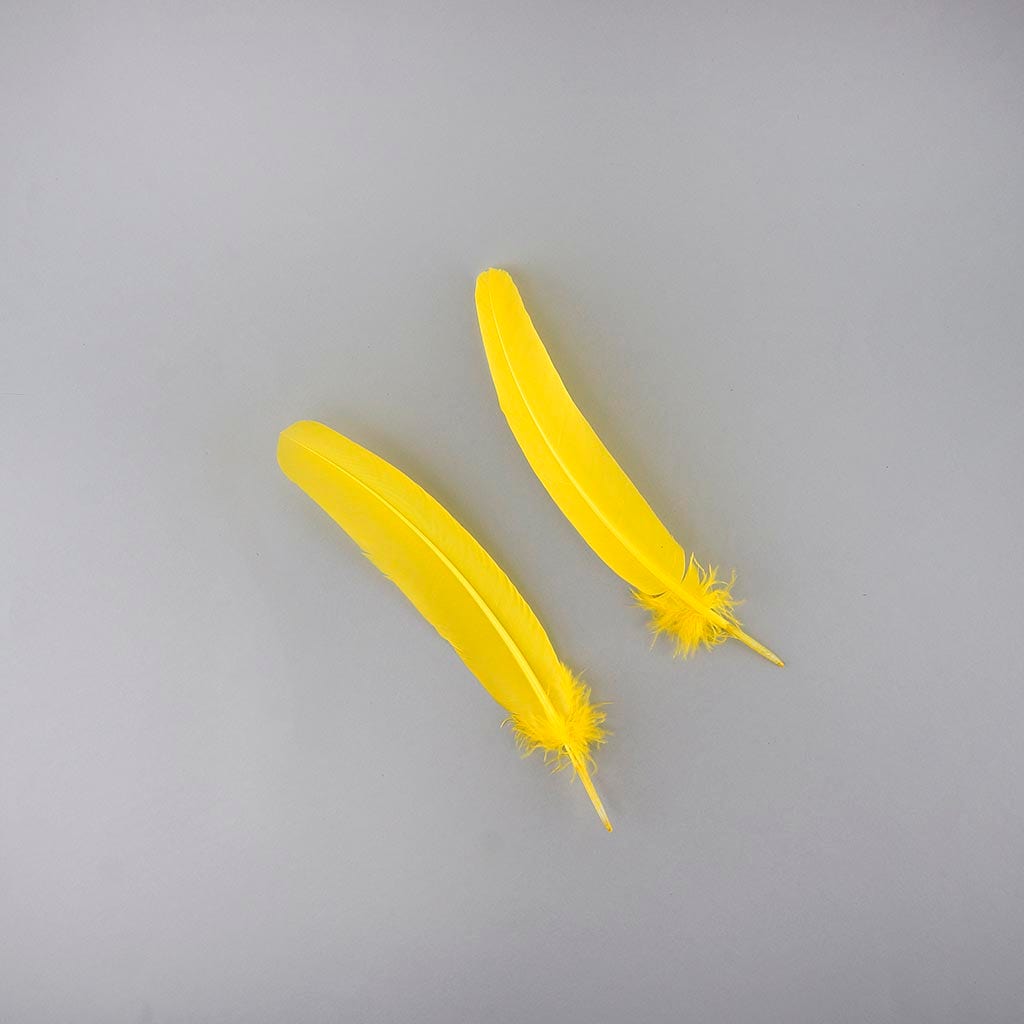 Turkey Quills Selected - Yellow