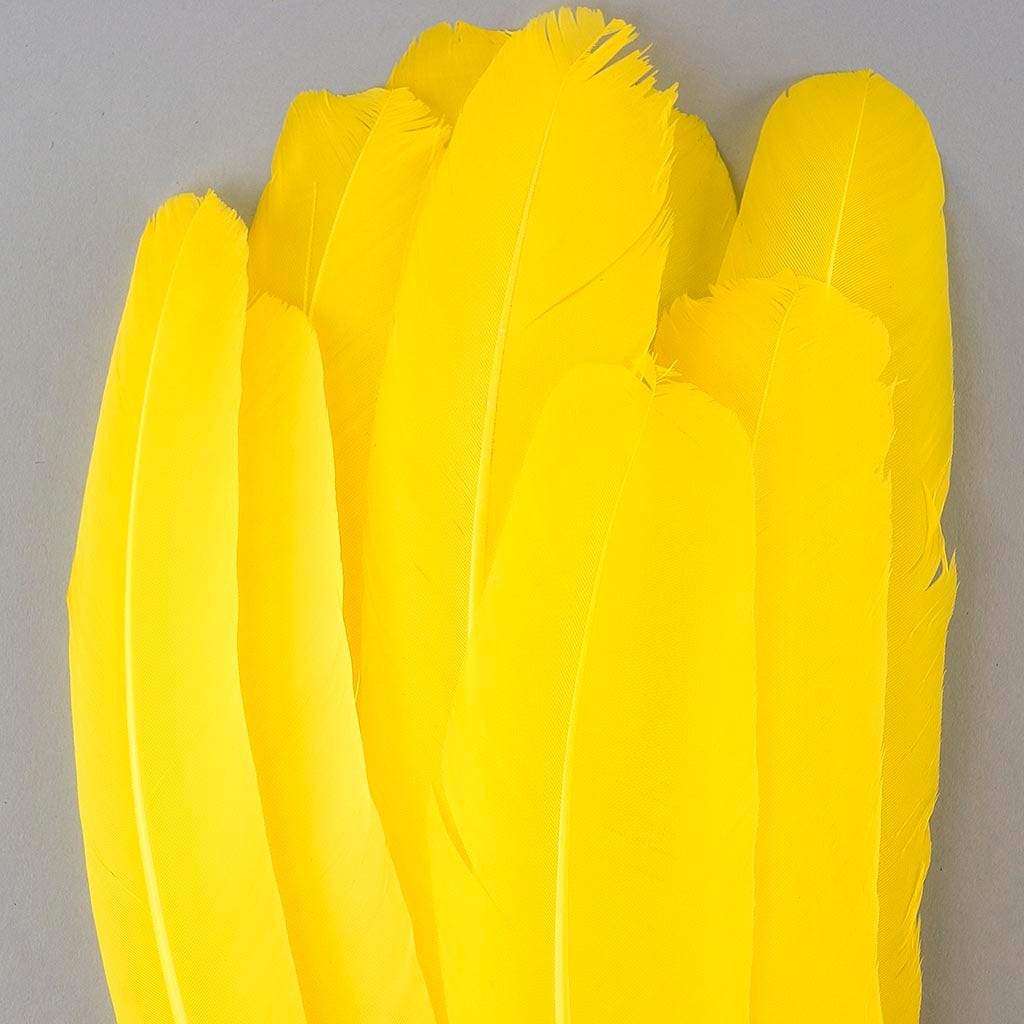 Turkey Quills Selected - Yellow