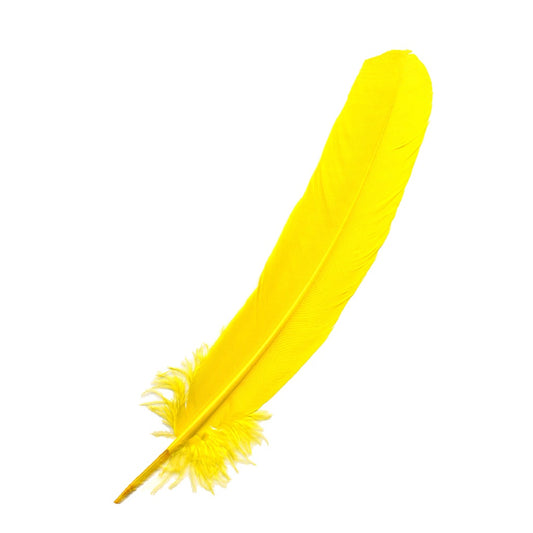 Parried Turkey Quills Selected - Yellow