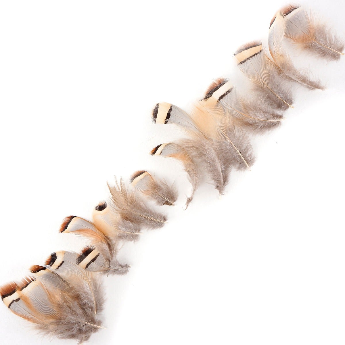 PARTRIDGE PLUMAGE LOOSE 1-25." .10 OZ NATURAL