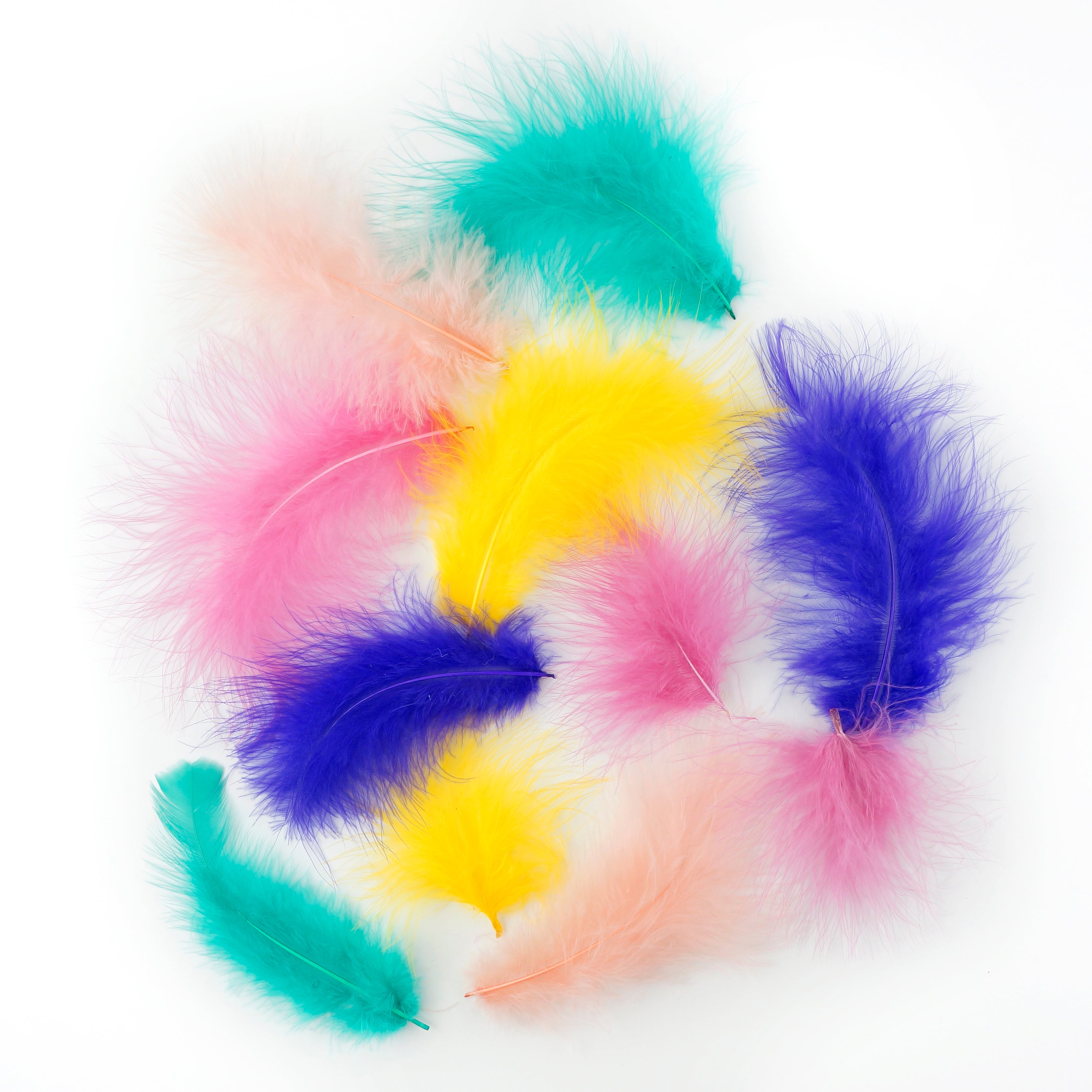 Multi Color Feathers – featherplace.com by Zucker Feather Products, Inc.