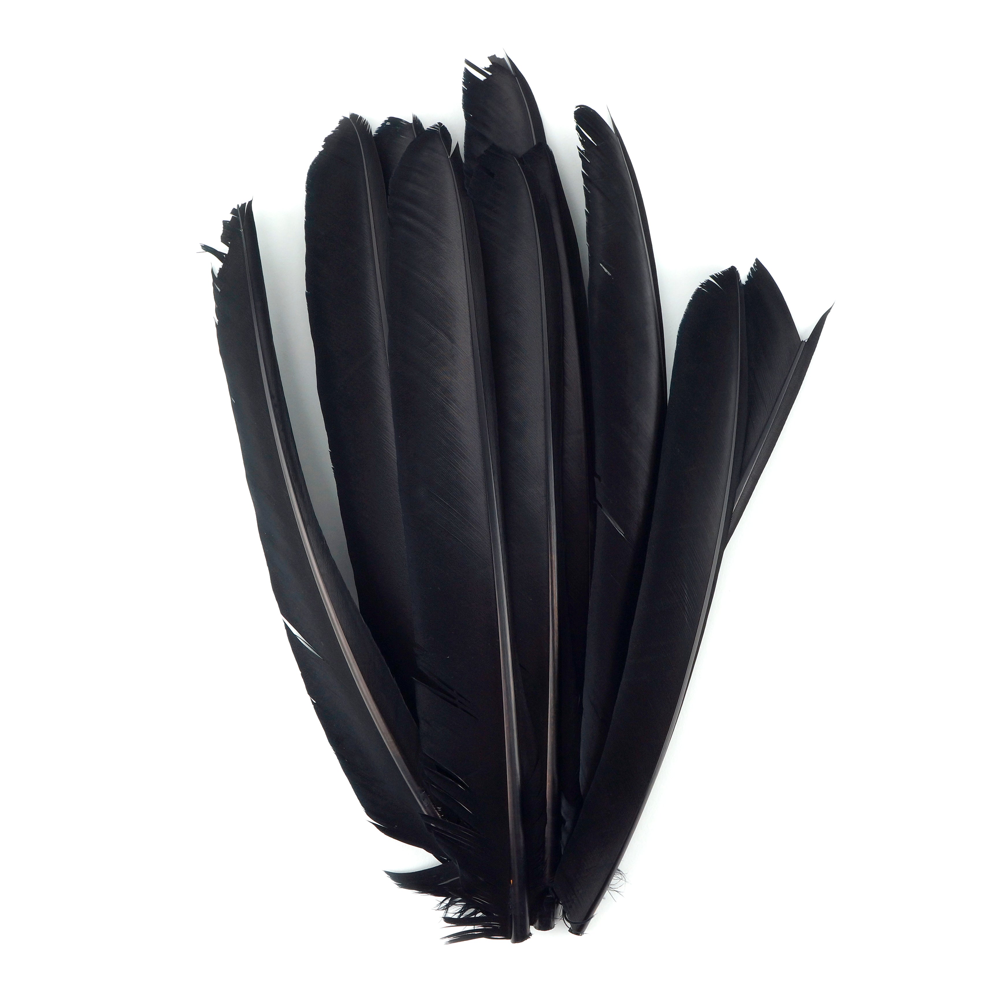 Turkey Pointer Feathers – featherplace.com by Zucker Feather Products, Inc.