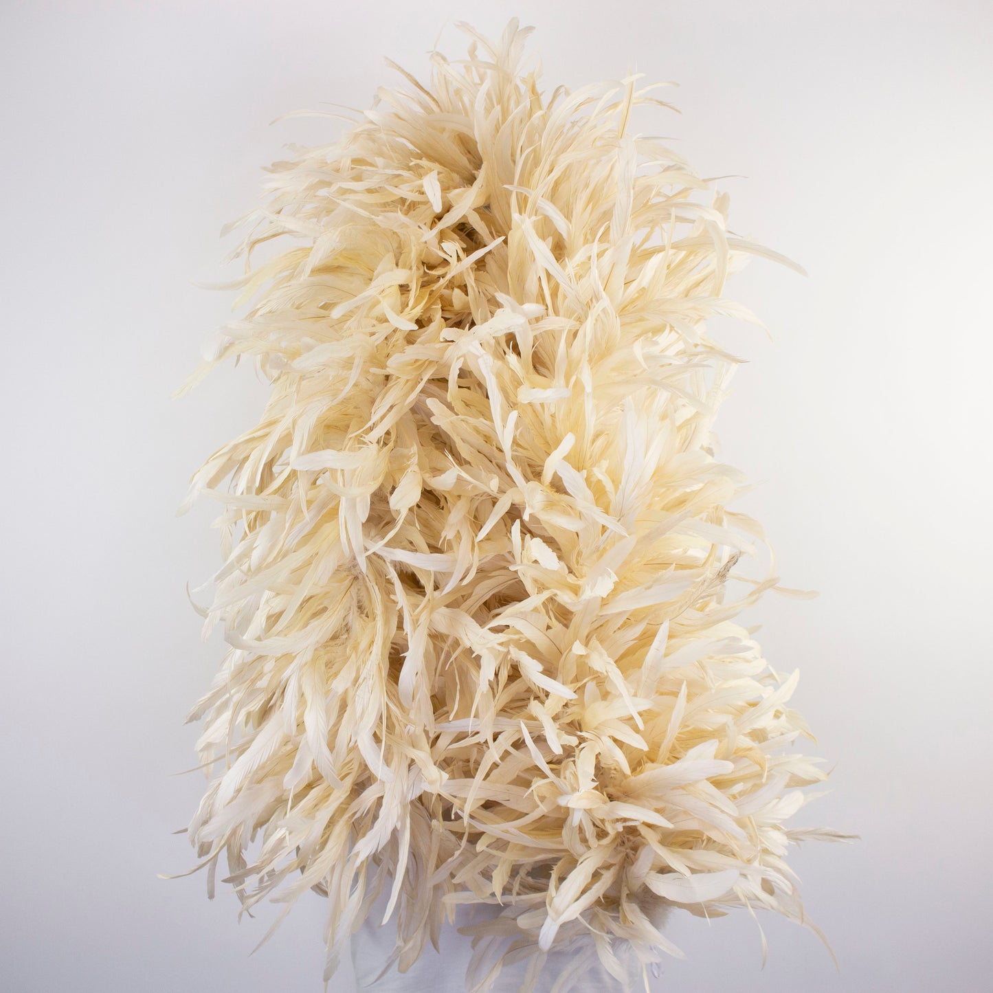 Degraded Rooster Coque Feather Boa - Beige