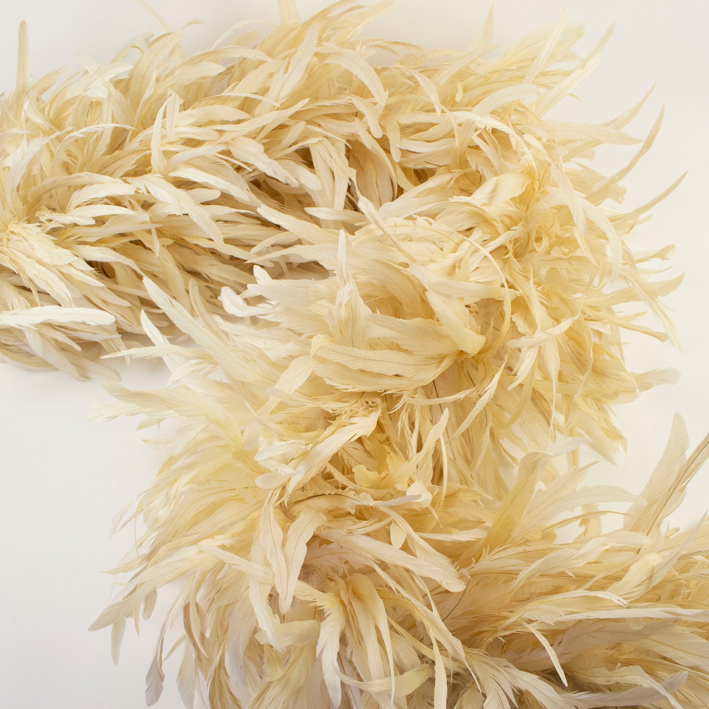 Degraded Rooster Coque Feather Boa - Beige