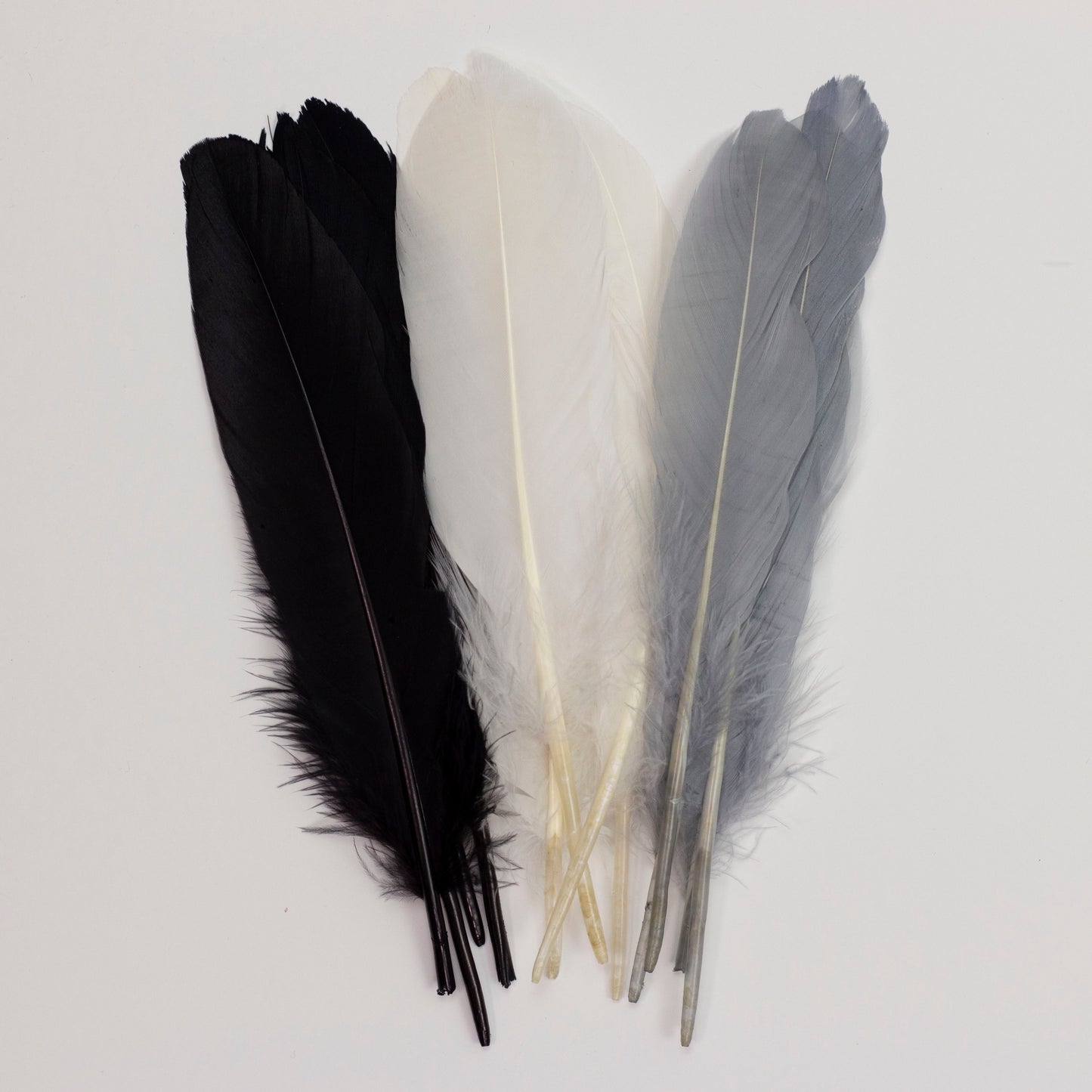 Goose Feathers 7-8" - 12 pcs - Black and White