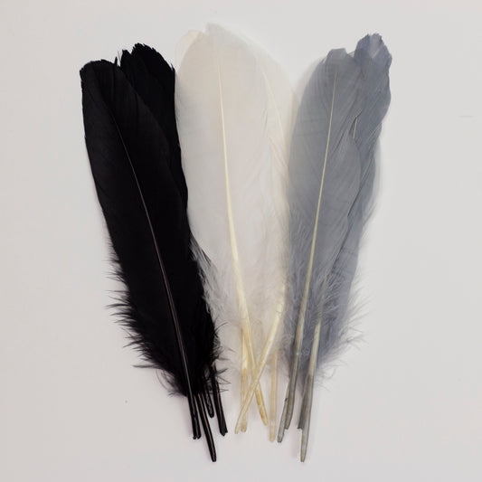 Goose Feathers, 6-8 Loose Goose Pallet Feathers Silver Grey, Grey Goose  Feathers For Arts and Craft Supplies ZUCKER®