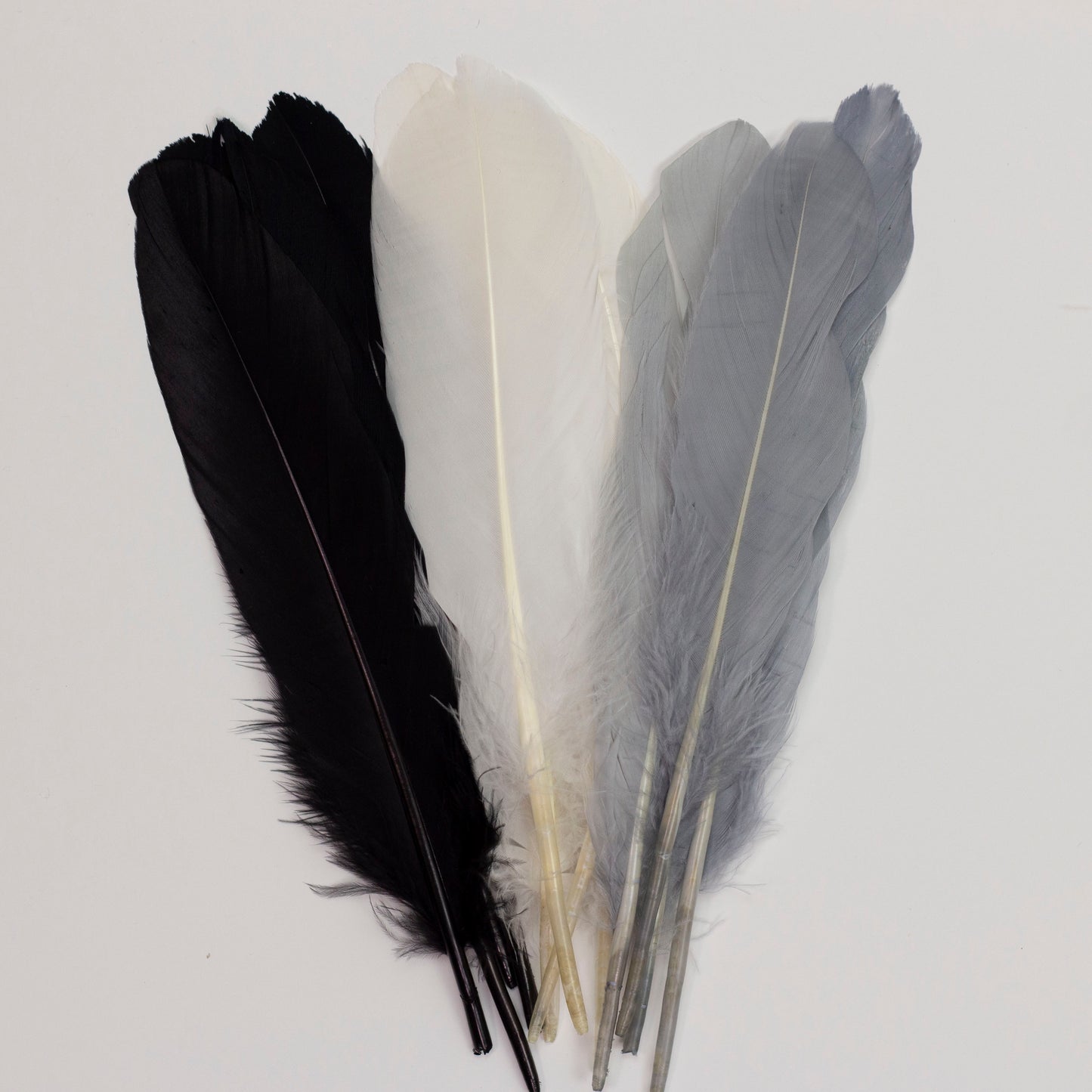 Goose Feathers 7-8" - 12 pcs - Black and White