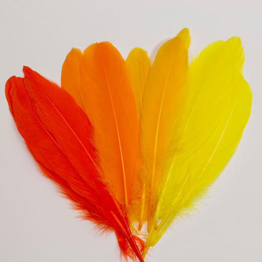 chartreuse blue ombre duck or goose feathers for crafts 12pcs