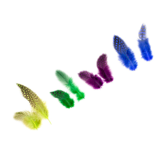 Guinea Hen - Plumage Feathers 1-4" - Mix Dyed Cool Colors