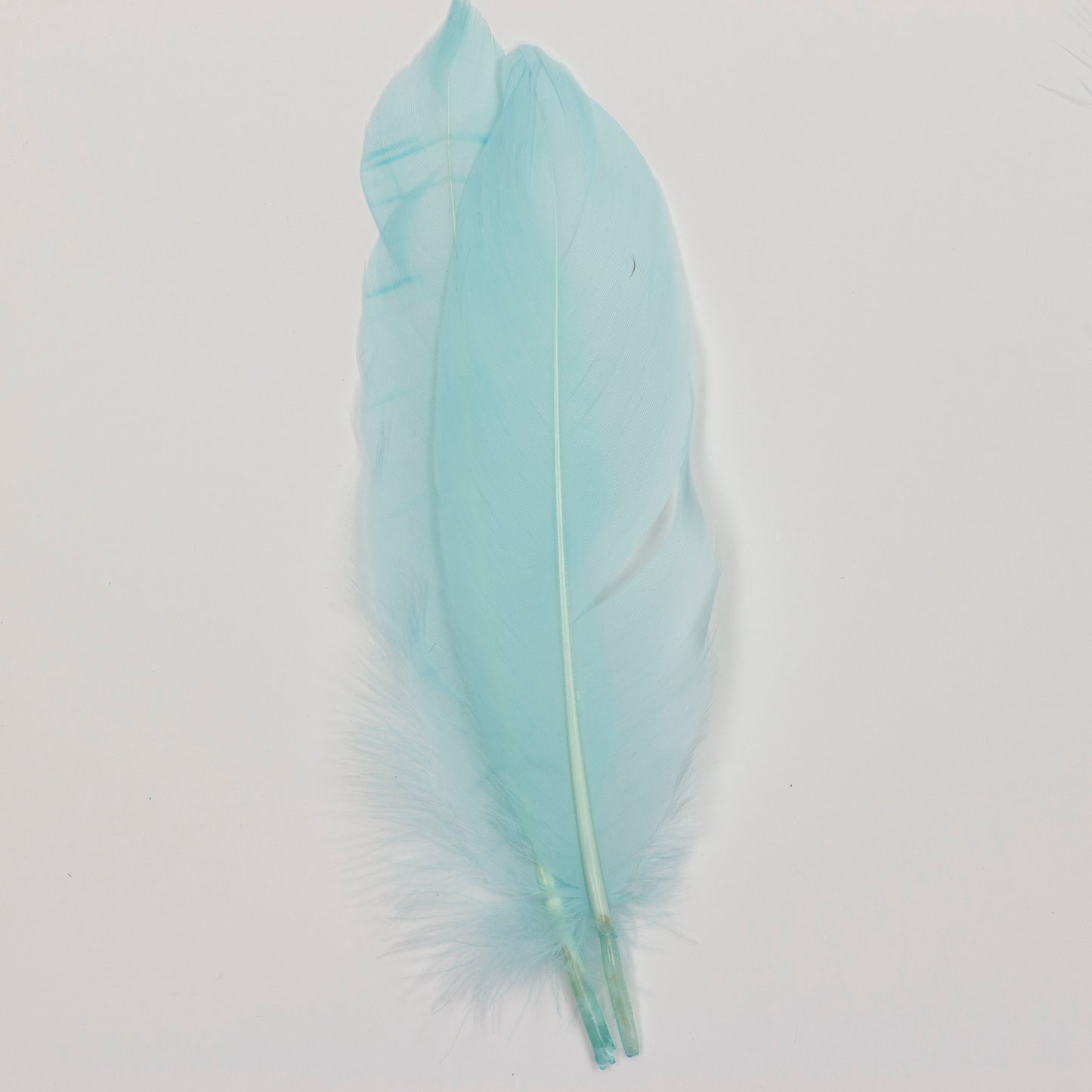 Ostrich/Goose Feather Kit Assorted 2-9 inch --Teal