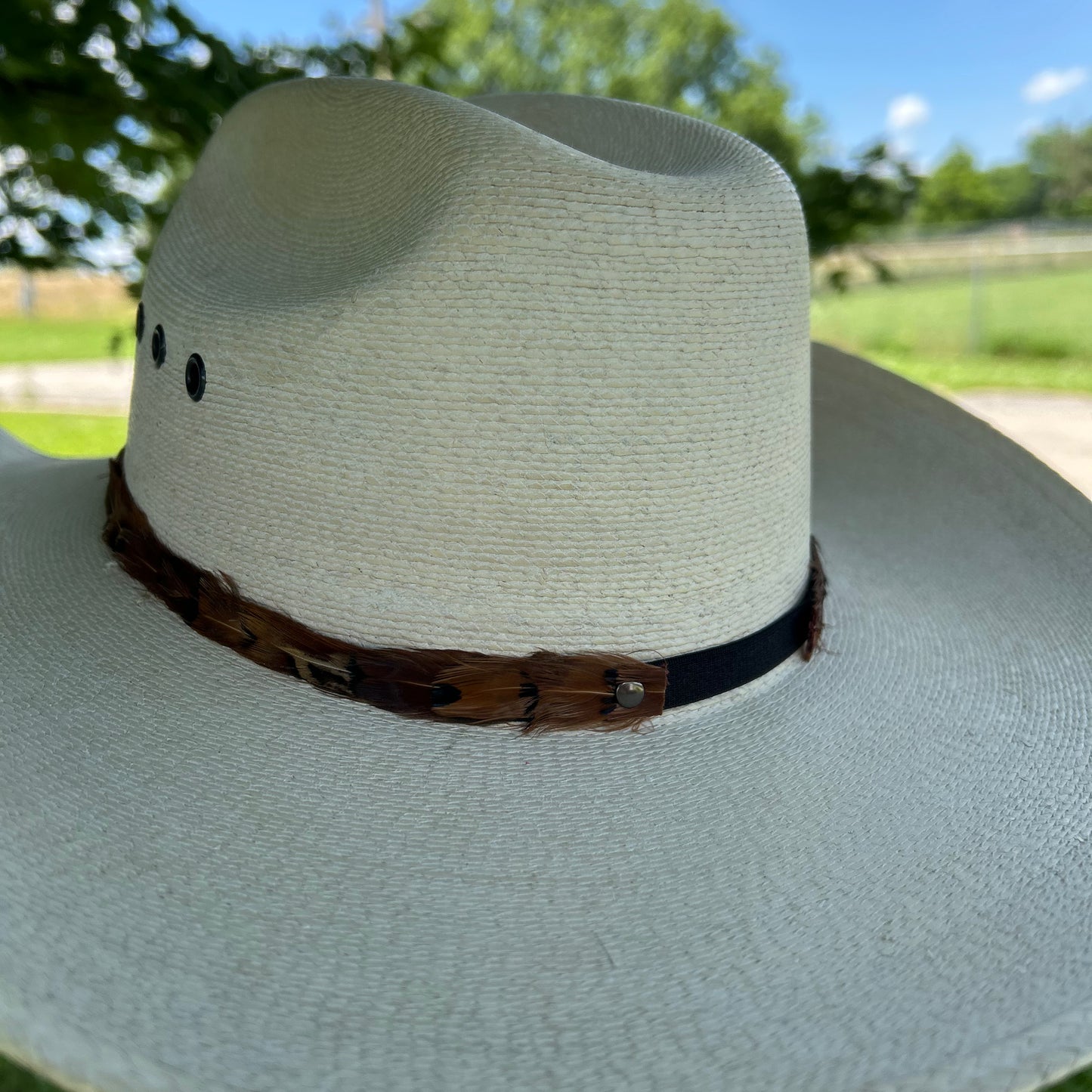 Natural Pheasant Feather Hat Band