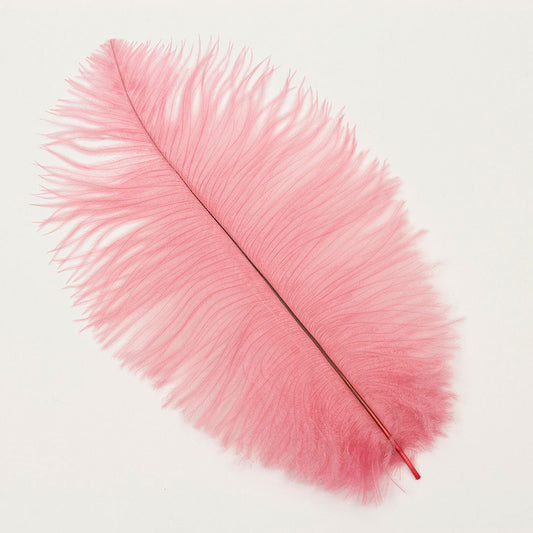 Ostrich Feathers 9-12" Drabs - Met Gala Potpourri