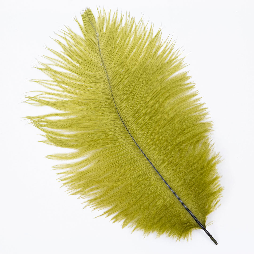 Ostrich Feathers 9-12" Drabs - Olive