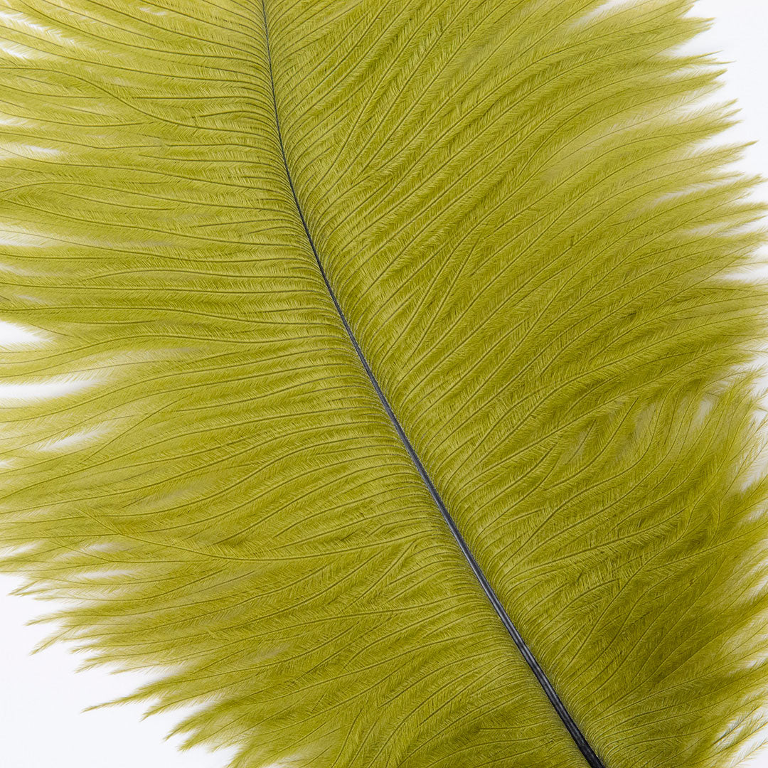 Ostrich Feathers 9-12" Drabs - Olive