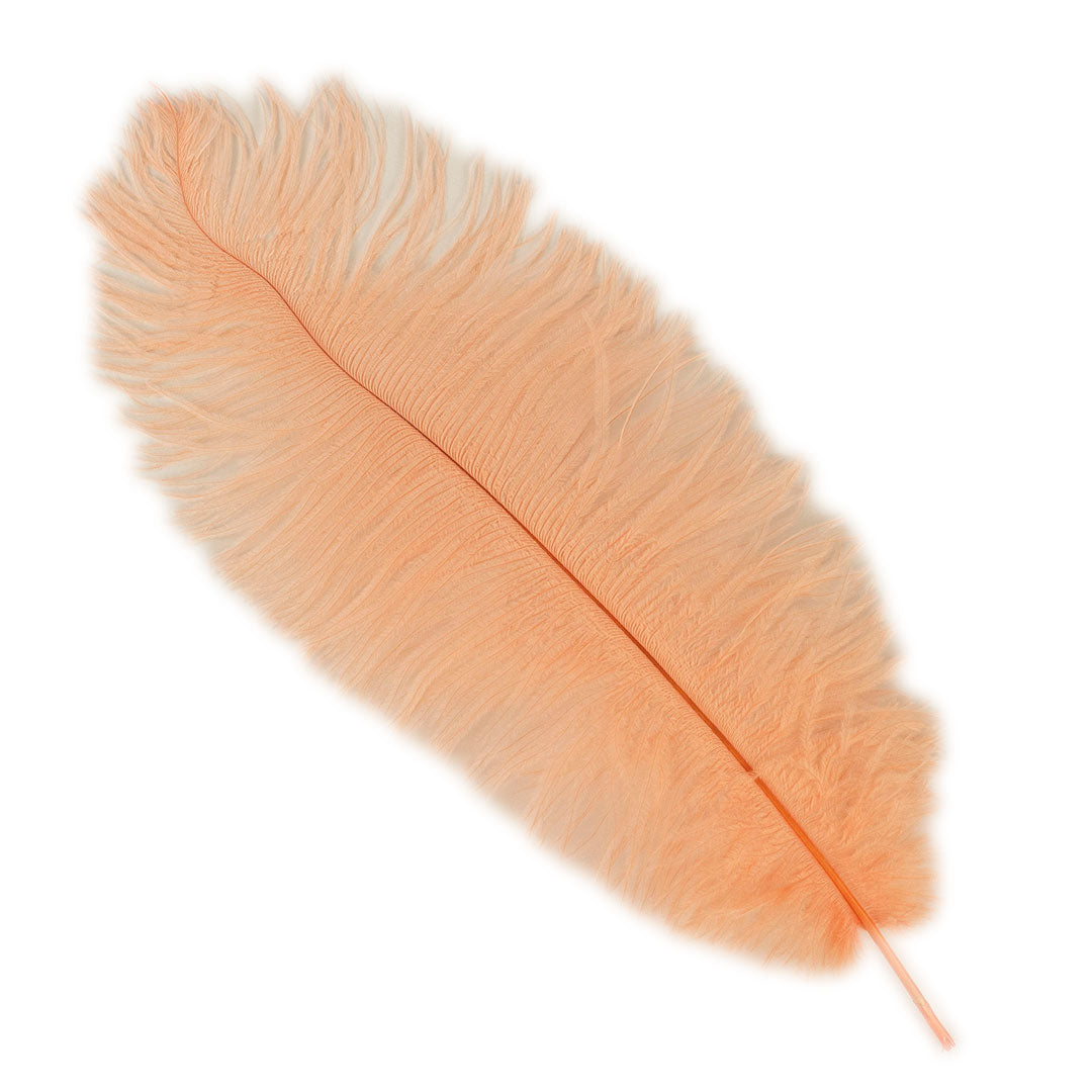 Large Ostrich Feathers - 17"+ Drabs - Apricot Blush
