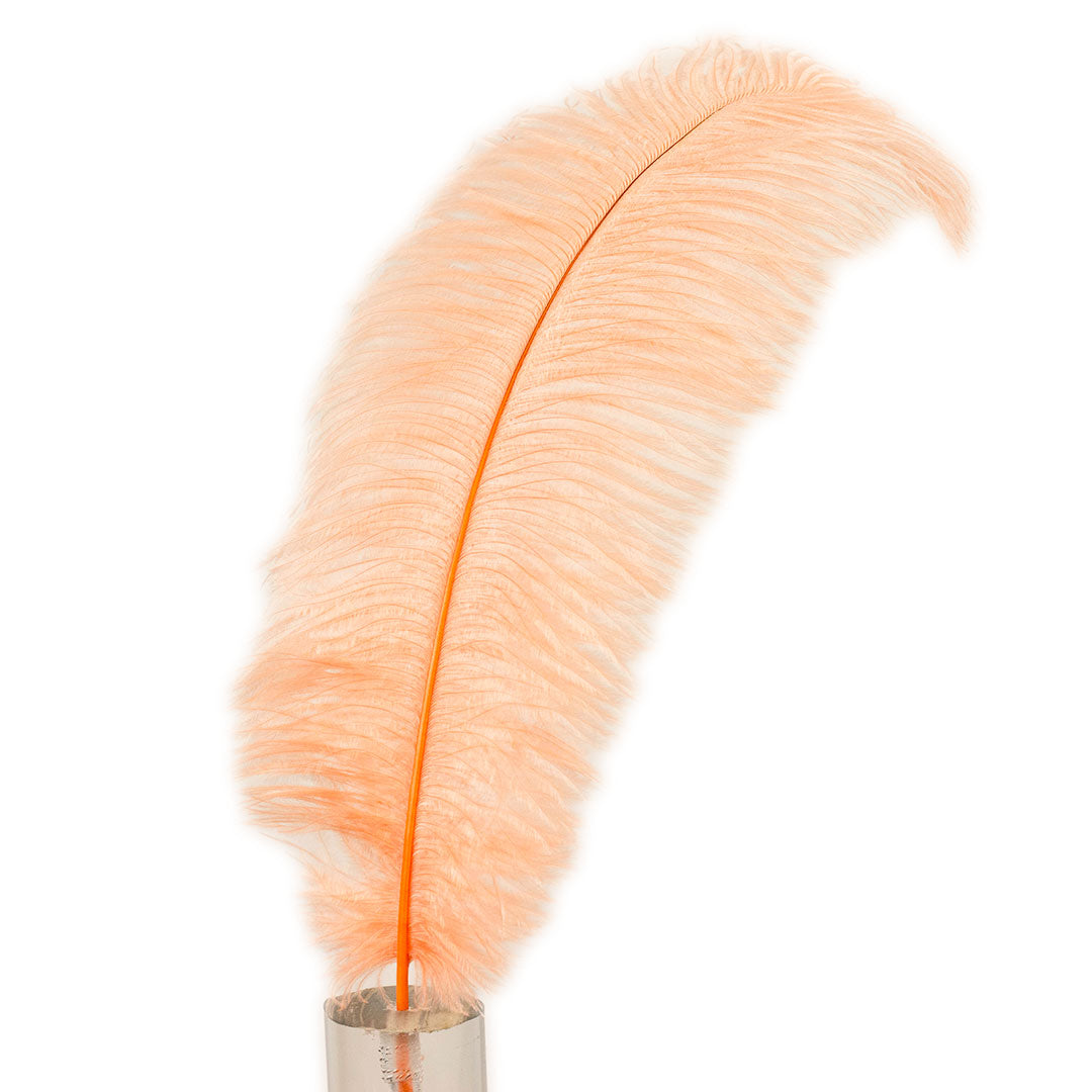 Large Ostrich Feathers - 17"+ Drabs - Apricot Blush