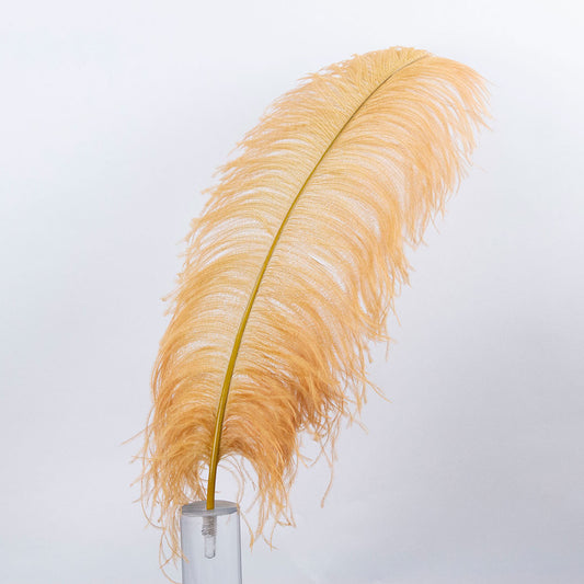 Large Ostrich Feathers - 20-25" Prime Femina Plumes - Toasted Almond