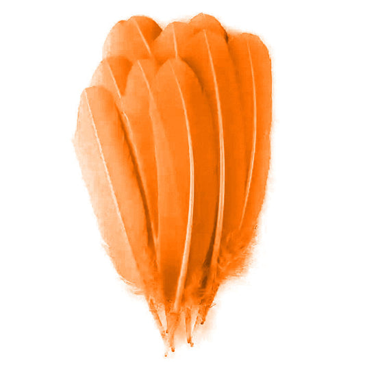 Bulk Turkey Quills by Pound Left Wing - Hot Orange