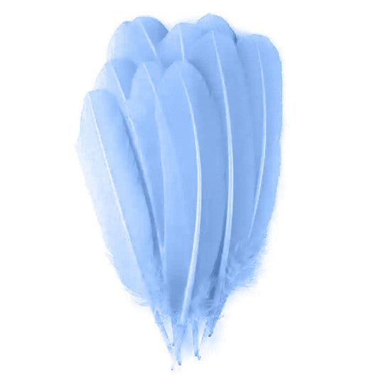 Bulk Dyed Turkey Quills Pound Left Wing - Sky Blue