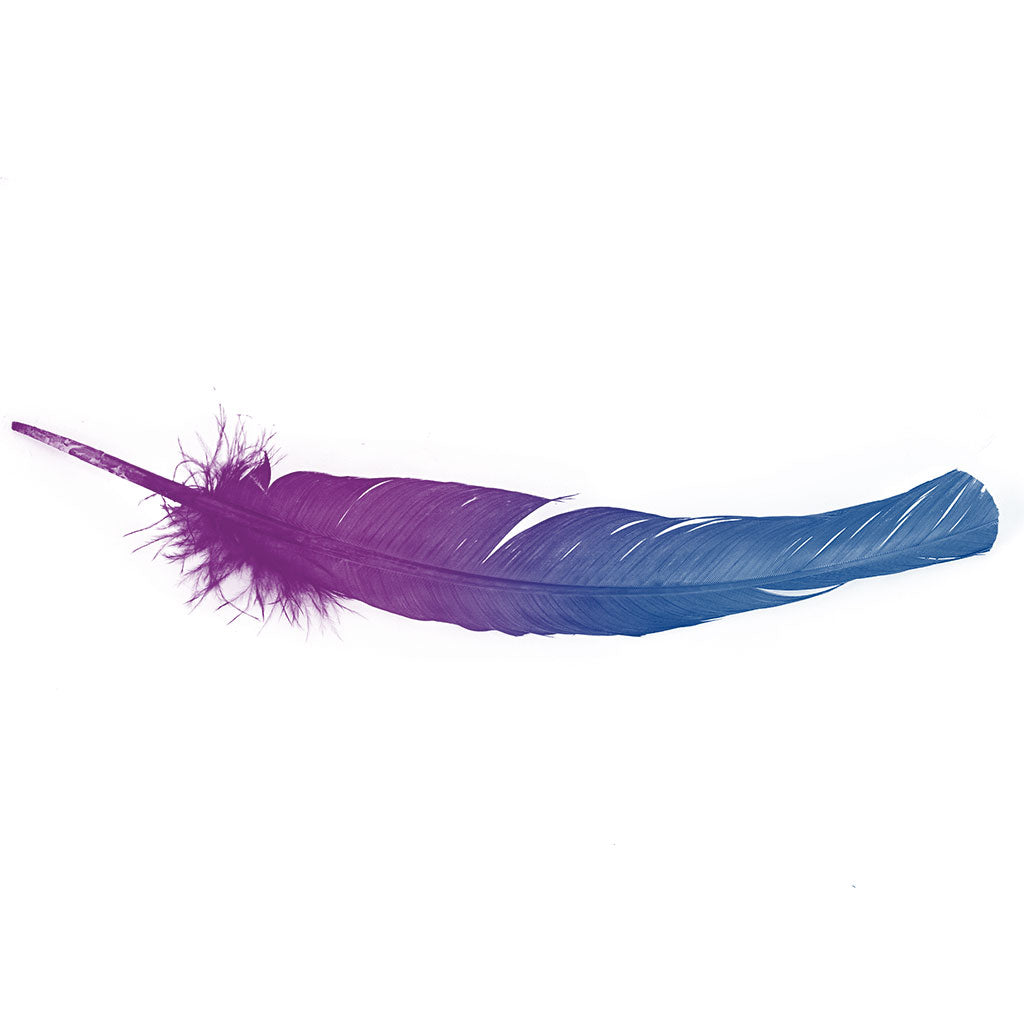 Bulk Two Tone Ombre Tipped Turkey Round Feathers - 10-12” - 1/4 lb - Dark Turquoise-Very Berry