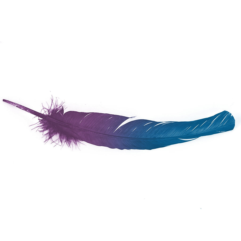 Ombre Turkey Quill 10-12" Left Wing Tip Silver .25 lb - Dark Turquoise-Purple