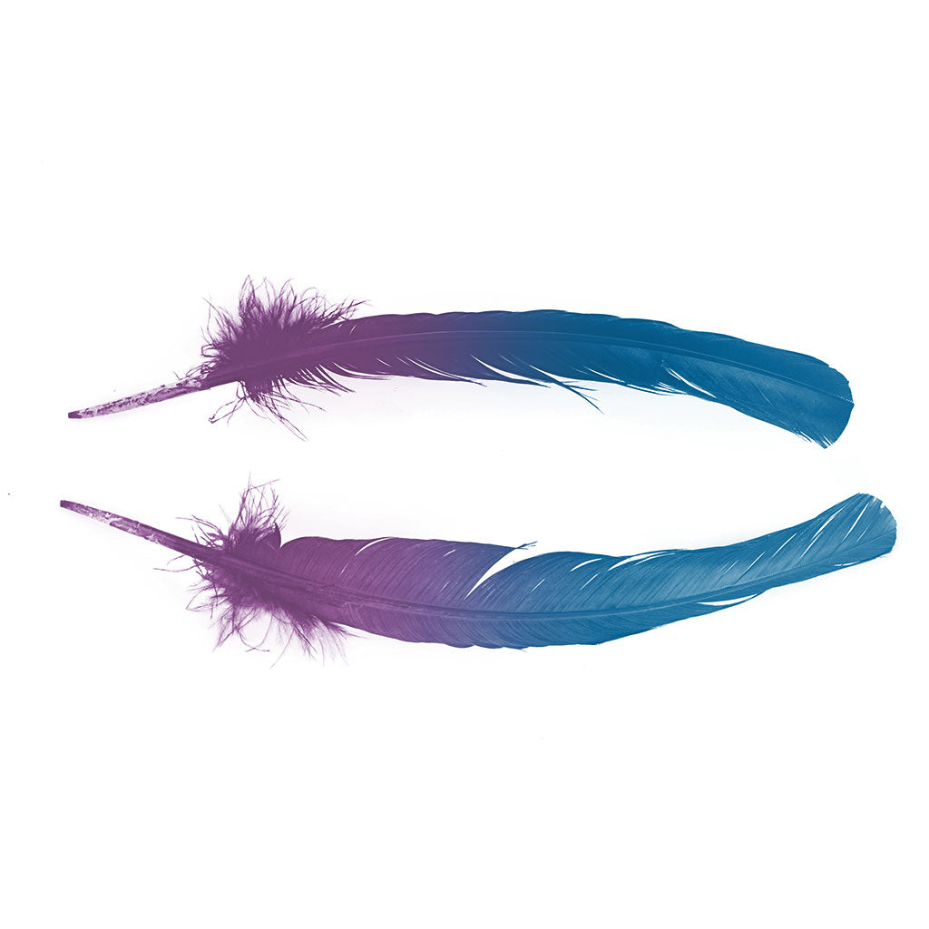 Ombre Turkey Quill 10-12" Left Wing Tip Silver .25 lb - Dark Turquoise-Purple