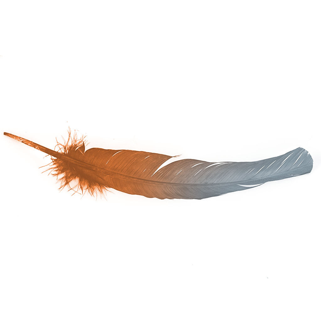 Ombre Turkey Quill 10-12" Left Wing Tip Silver .25 lb - Silver-Orange