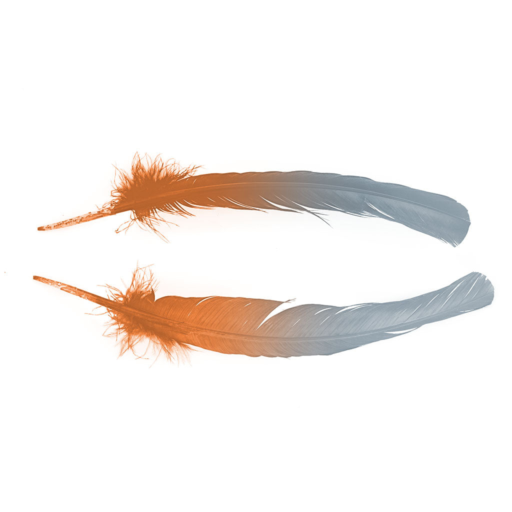 Ombre Turkey Quill 10-12" Left Wing Tip Silver .25 lb - Silver-Orange