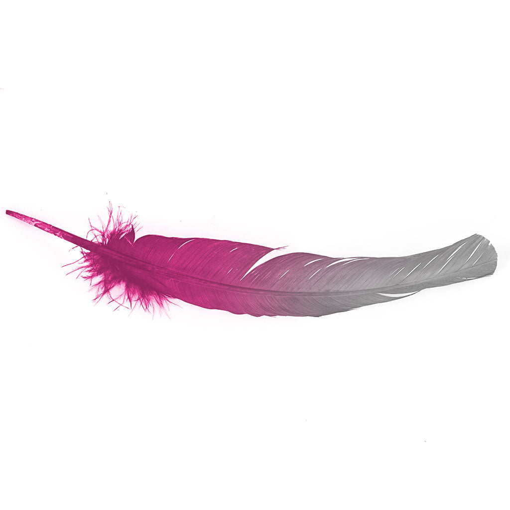 Ombre Turkey Quill 10-12" Left Wing Tip Silver .25 lb - Silver-Shocking Pink