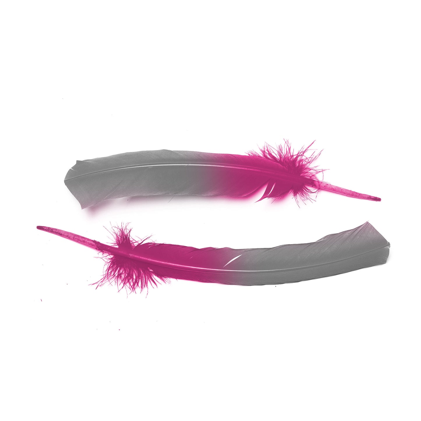 Ombre Turkey Quill 10-12" Left Wing Tip Silver .25 lb - Silver-Shocking Pink