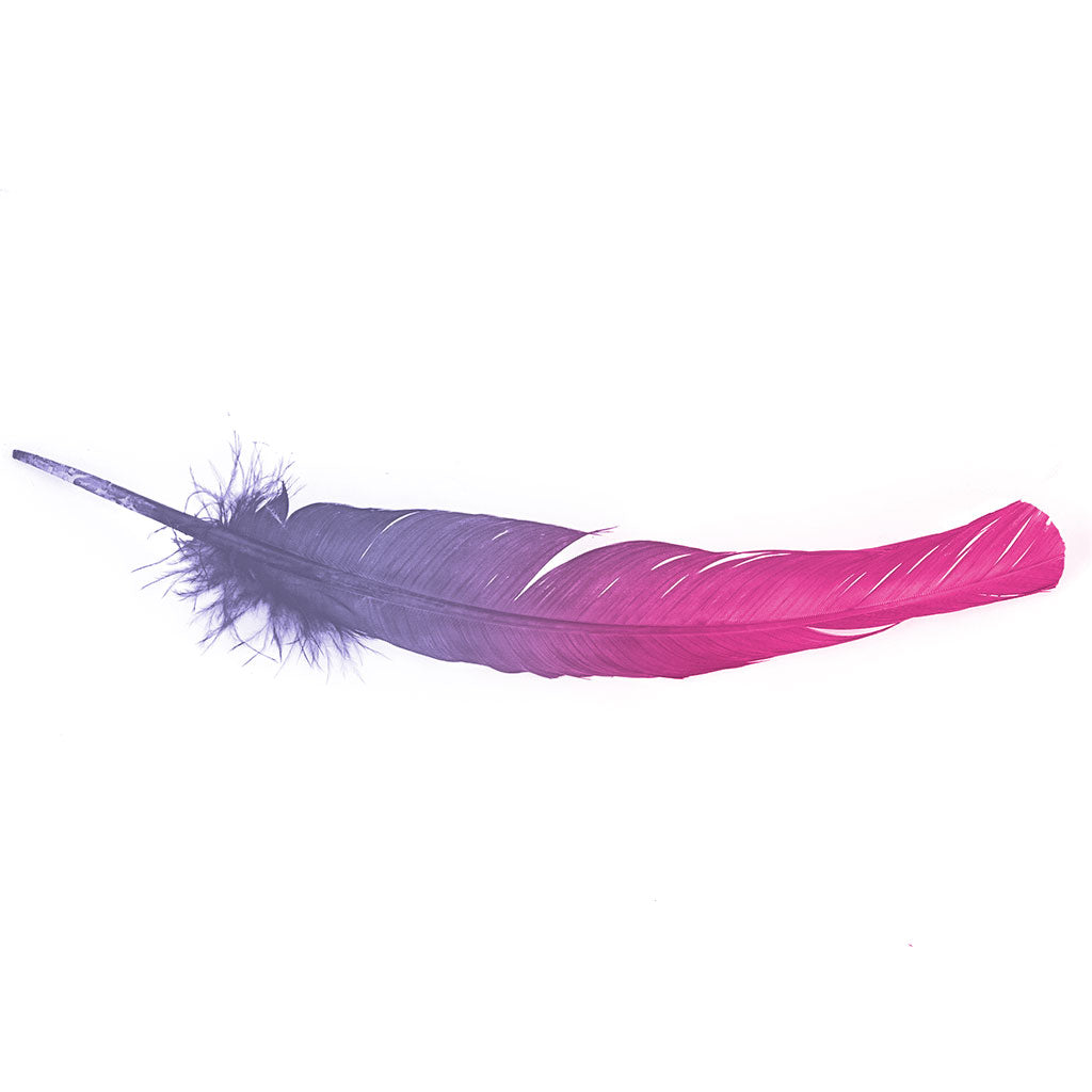 Ombre Turkey Quill 10-12" Left Wing Tip Silver .25 lb - Shocking Pink-Lavender