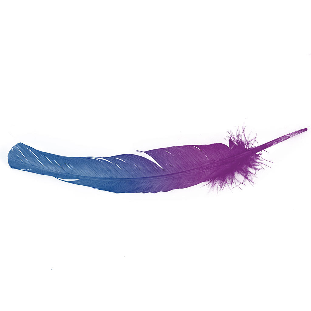 Bulk Two Tone Ombre Tipped Turkey Round Feathers Right Wing- 10-12” - 1/4 lb - Dark Turquoise-Very Berry