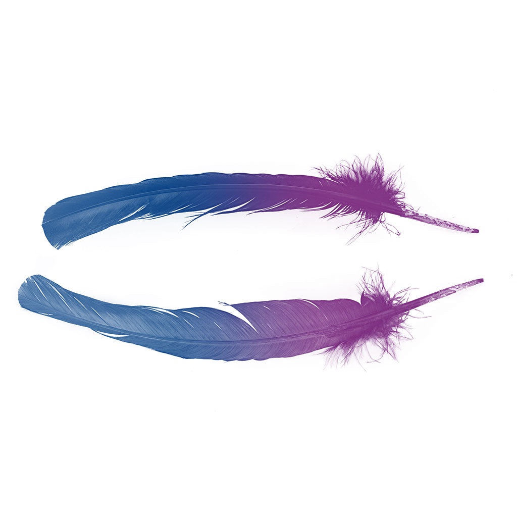 Bulk Two Tone Ombre Tipped Turkey Round Feathers Right Wing- 10-12” - 1/4 lb - Dark Turquoise-Very Berry