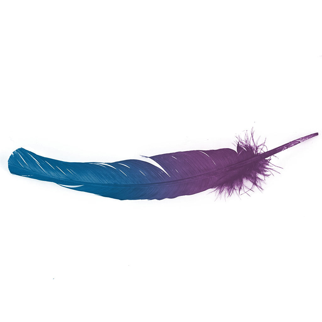 Ombre Turkey Quill 10-12" Right Wing Tip Silver .25 lb - Dark Turquoise-Purple