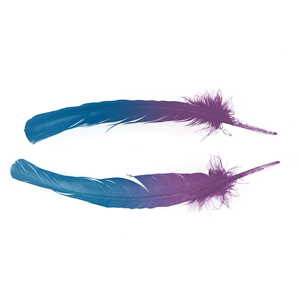 Ombre Turkey Quill 10-12" Right Wing Tip Silver .25 lb - Dark Turquoise-Purple