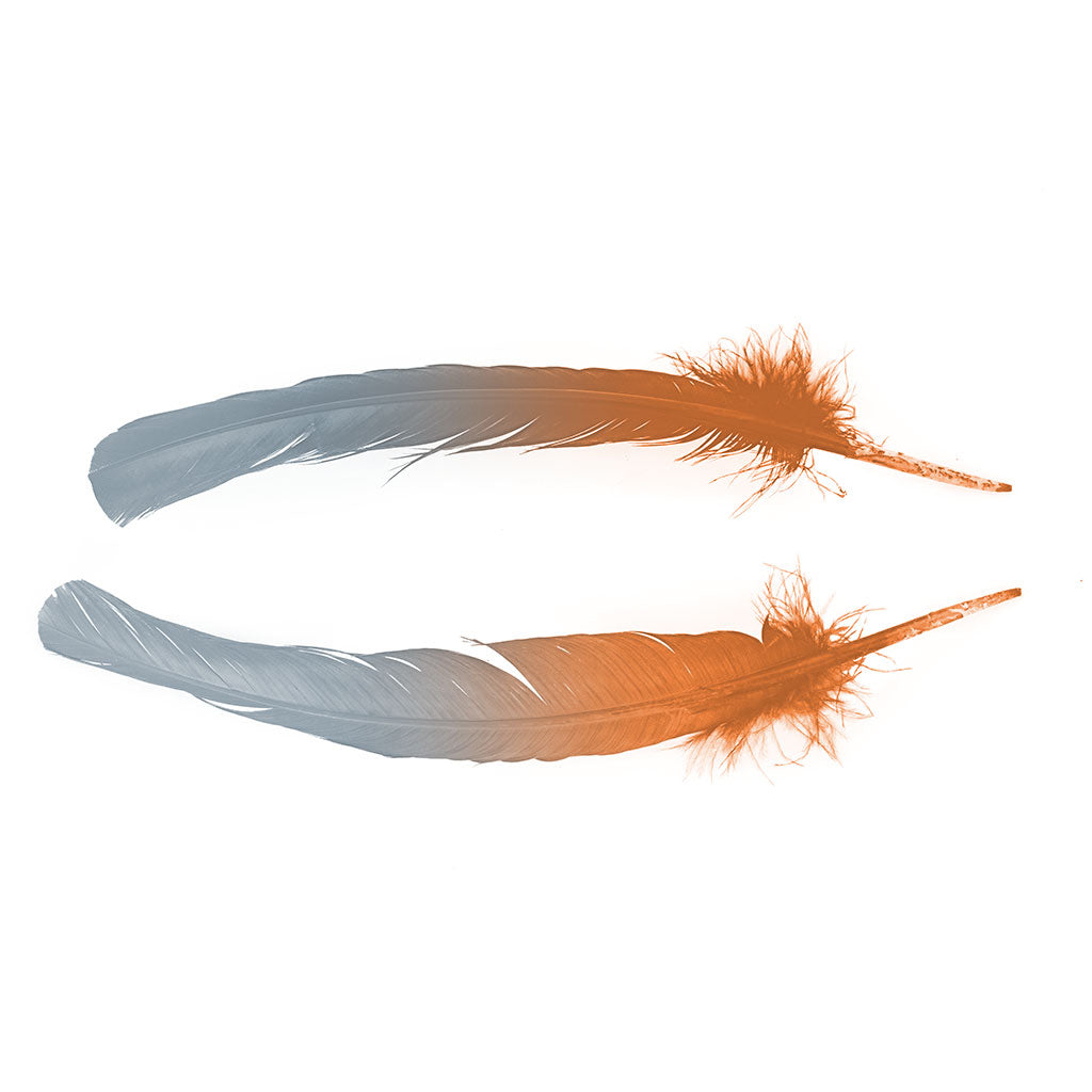 Ombre Turkey Quill 10-12" Right Wing Tip Silver .25 lb - Silver-Orange