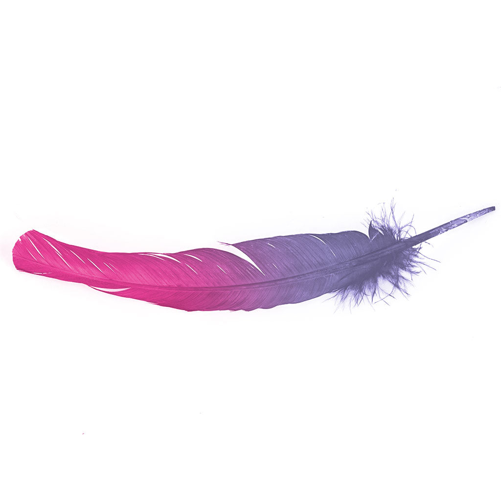 Ombre Turkey Quill 10-12" Right Wing Tip Silver .25 lb - Shocking Pink-Lavender