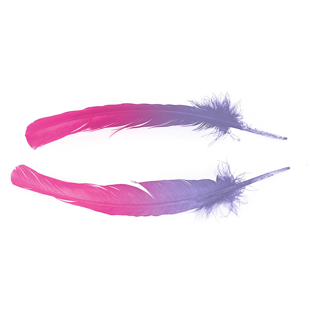 Ombre Turkey Quill 10-12" Right Wing Tip Silver .25 lb - Shocking Pink-Lavender