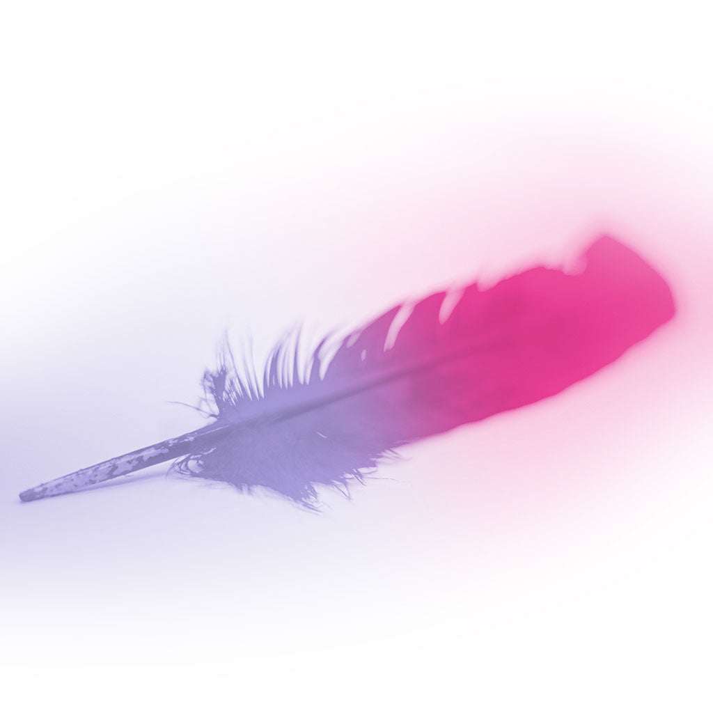 Ombre Turkey Quill 10-12" Right Wing Tip Silver .25 lb - Shocking Pink-Lavender