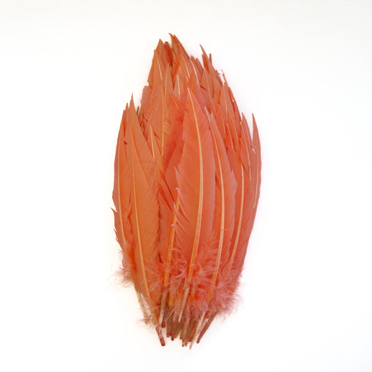 Dagger Turkey Quill Feathers 9-12"- Apricot Blush