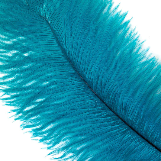 Large Ostrich Feathers - 17"+ Drabs - Dark Aqua