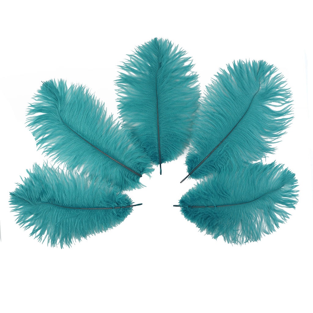 Ostrich Feathers 9-12" Drabs - Dark Aqua