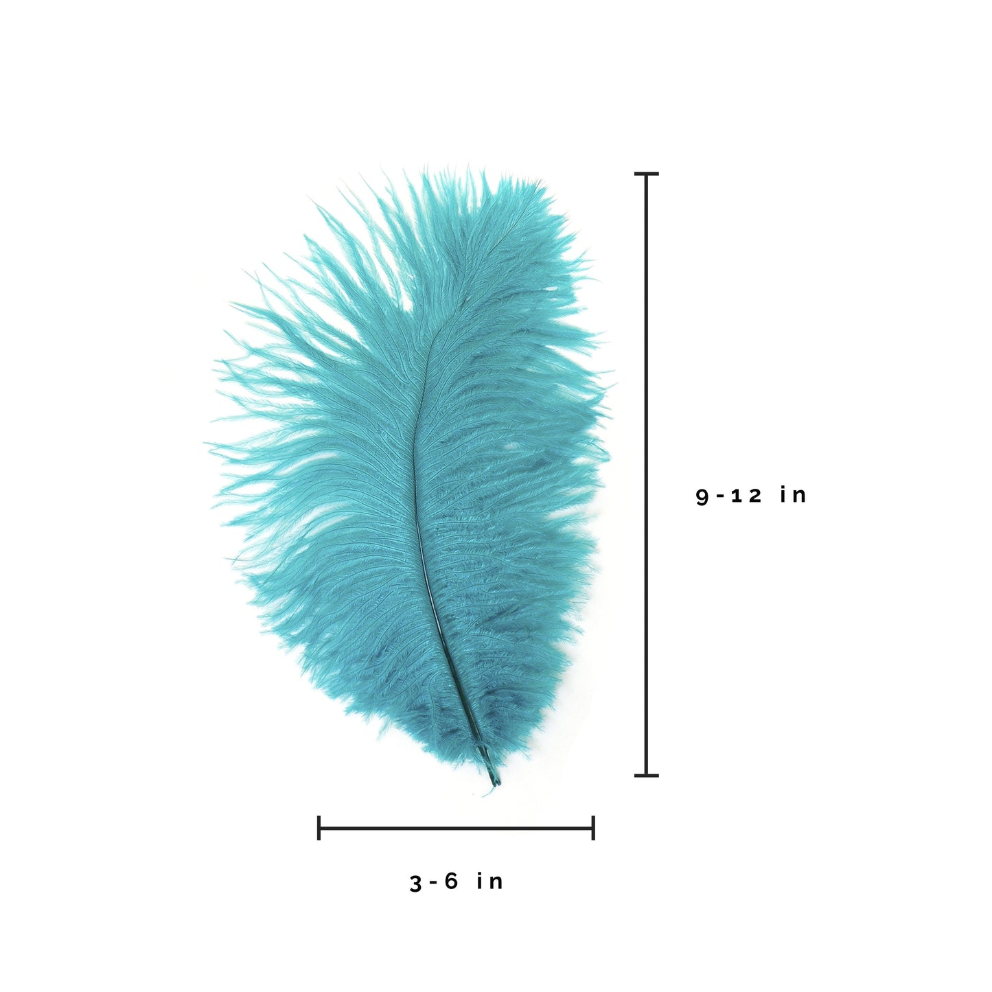 Ostrich Feathers 9-12" Drabs - Dark Aqua