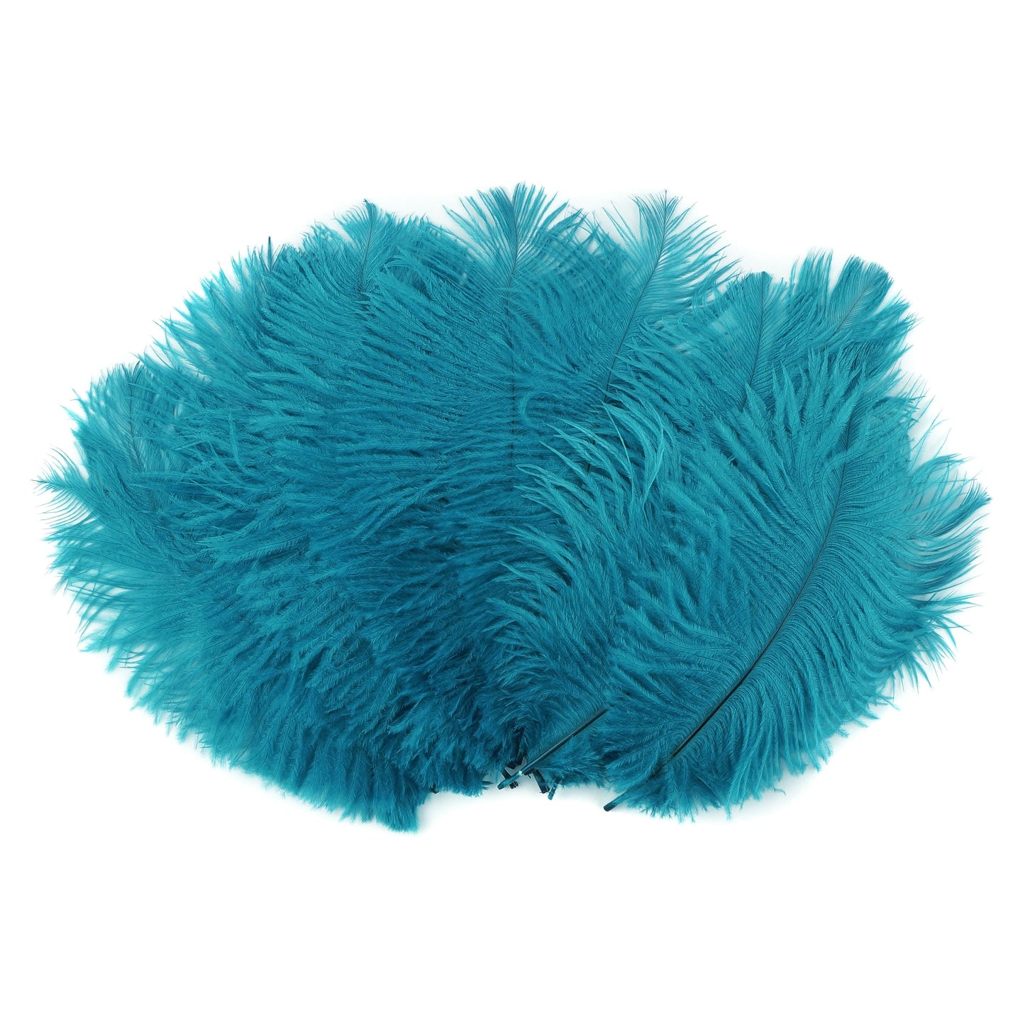 Ostrich Feathers 4-8" Drabs - Dark Aqua