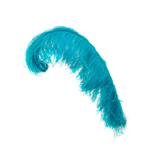 Ostrich Prime Femina Feathers - 6pc - 17 - 25 Inches  - Dark Aqua