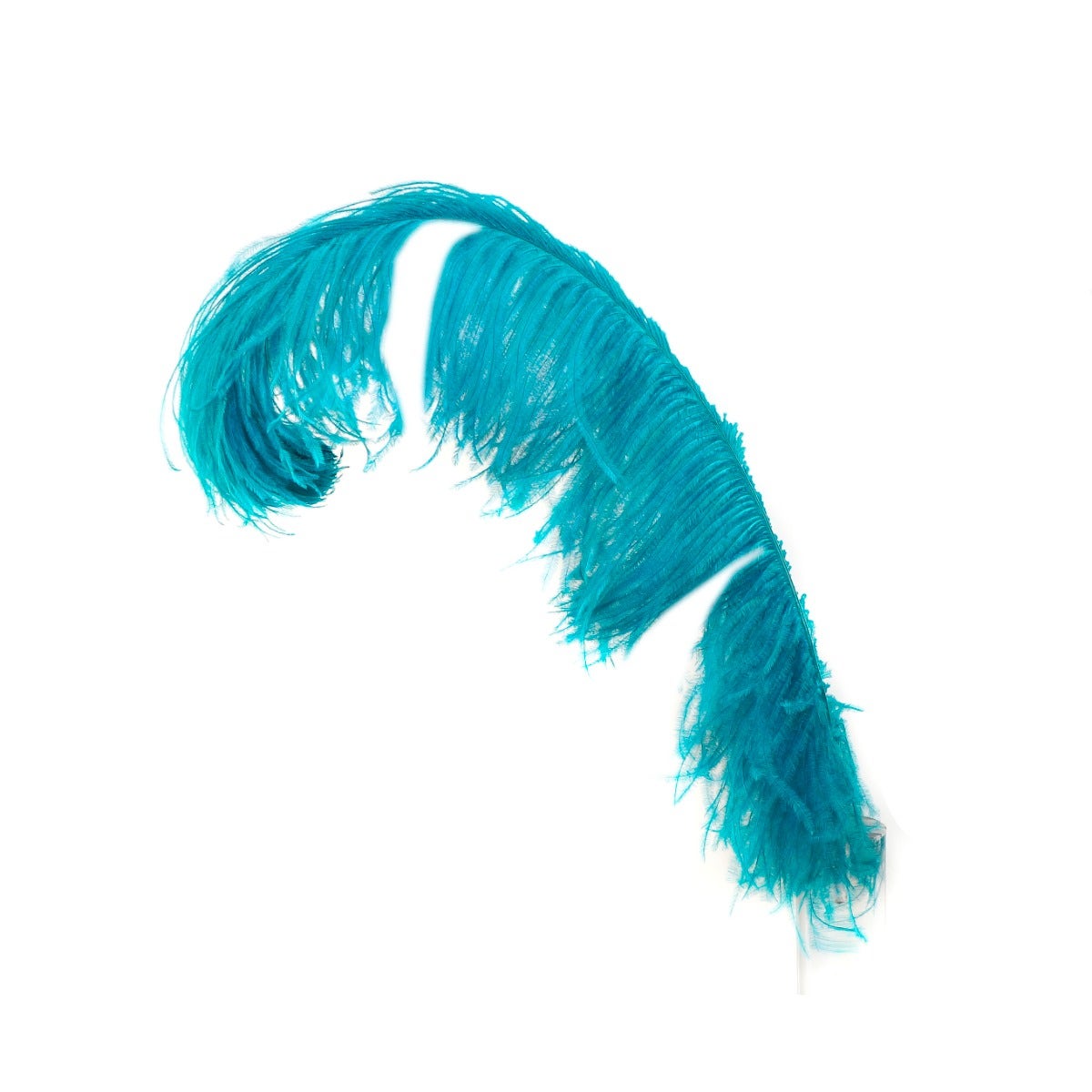 Bulk Ostrich Feathers-Damaged Femina - Dark Aqua