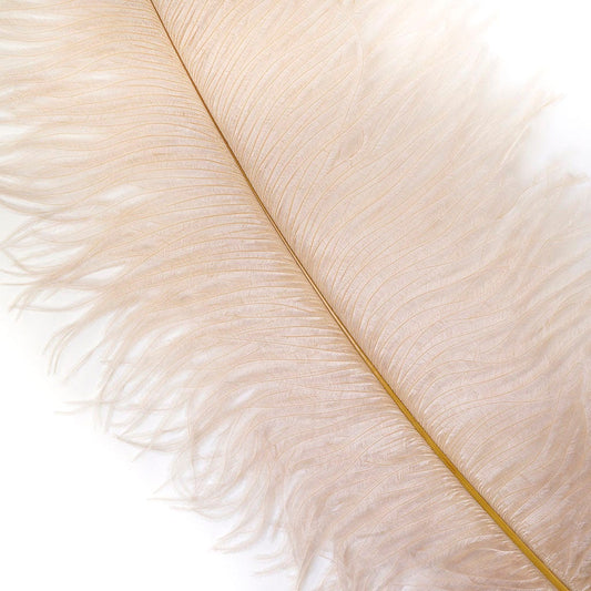 Large Ostrich Feathers - 17"+ Drabs - Beige